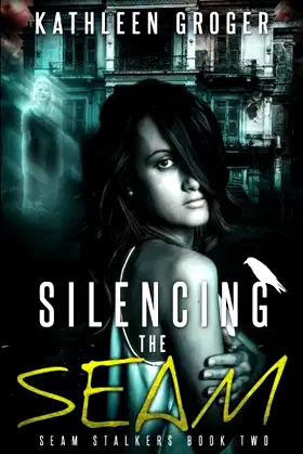 Silencing The Seam poster