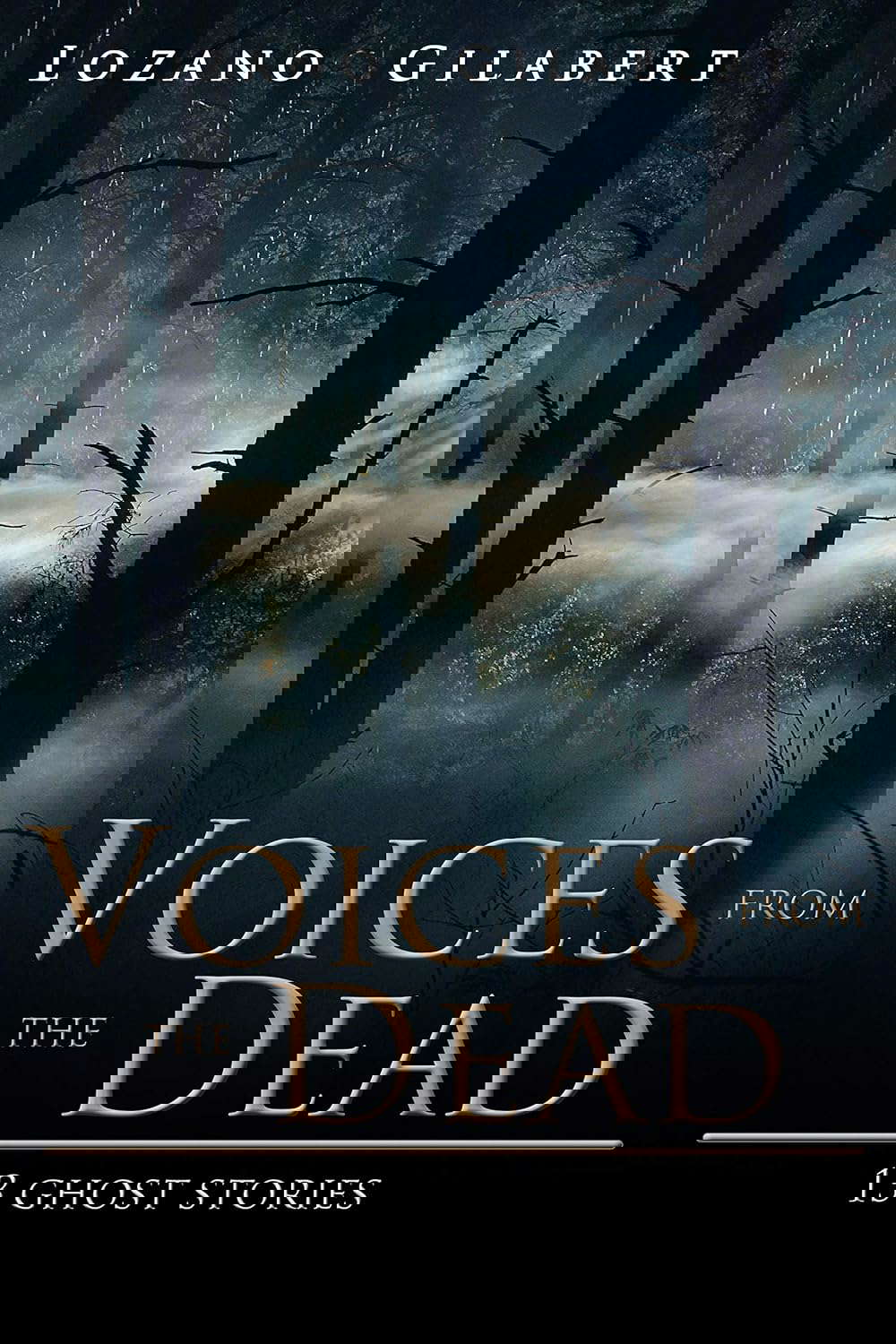 Voices from the Dead: 13 Ghost Stories (Stories from the Darkness Book 1) poster