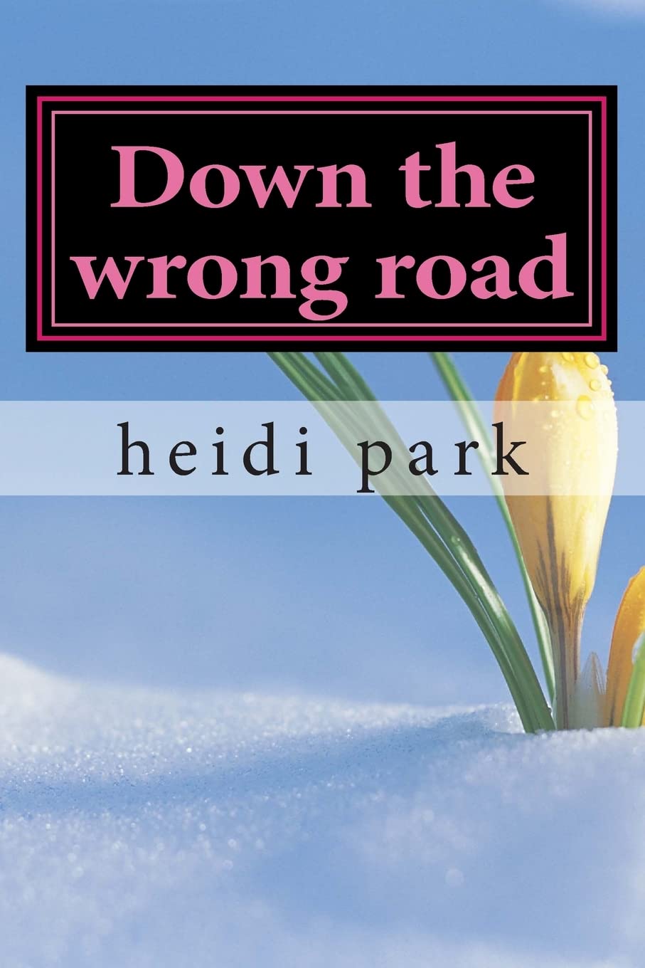 Down the wrong road poster