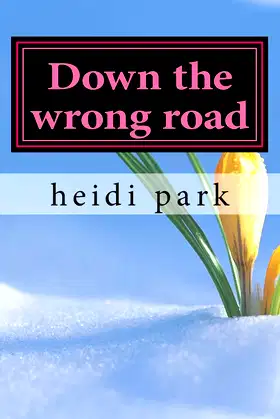 Down the wrong road poster