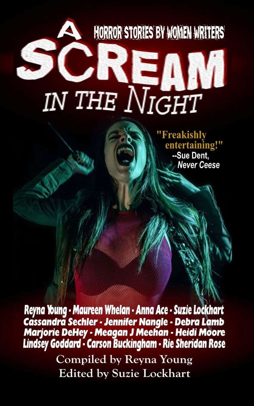 A Scream in the Night poster