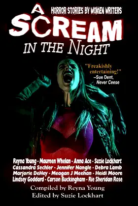 A Scream in the Night poster