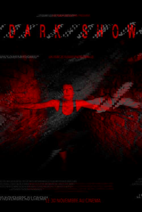 Dark Show poster