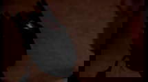 episode poster