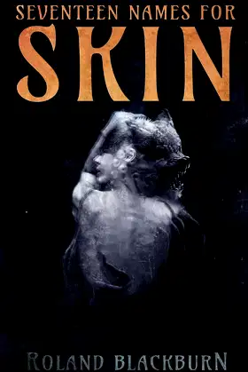 Seventeen Names for Skin poster