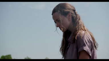 Lone Star Shark trailer poster