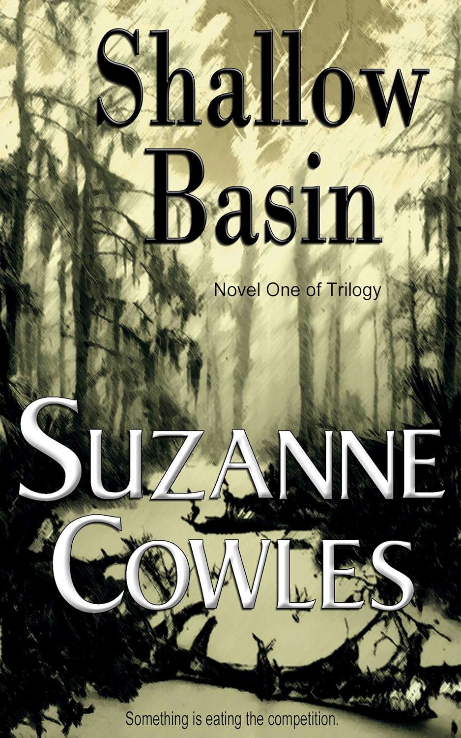 Shallow Basin poster