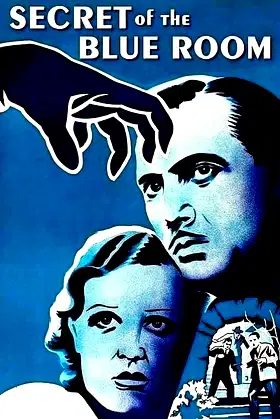 Secret of the Blue Room poster