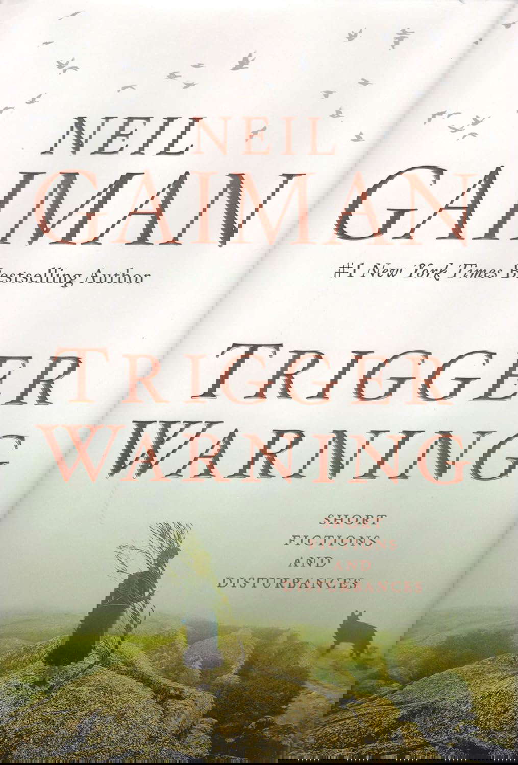 Trigger Warning: Short Fictions and Disturbances poster