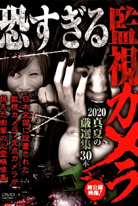 Extremely Scary Surveillance Camera 2020: Midsummer Selected Collection - 30 Clips poster