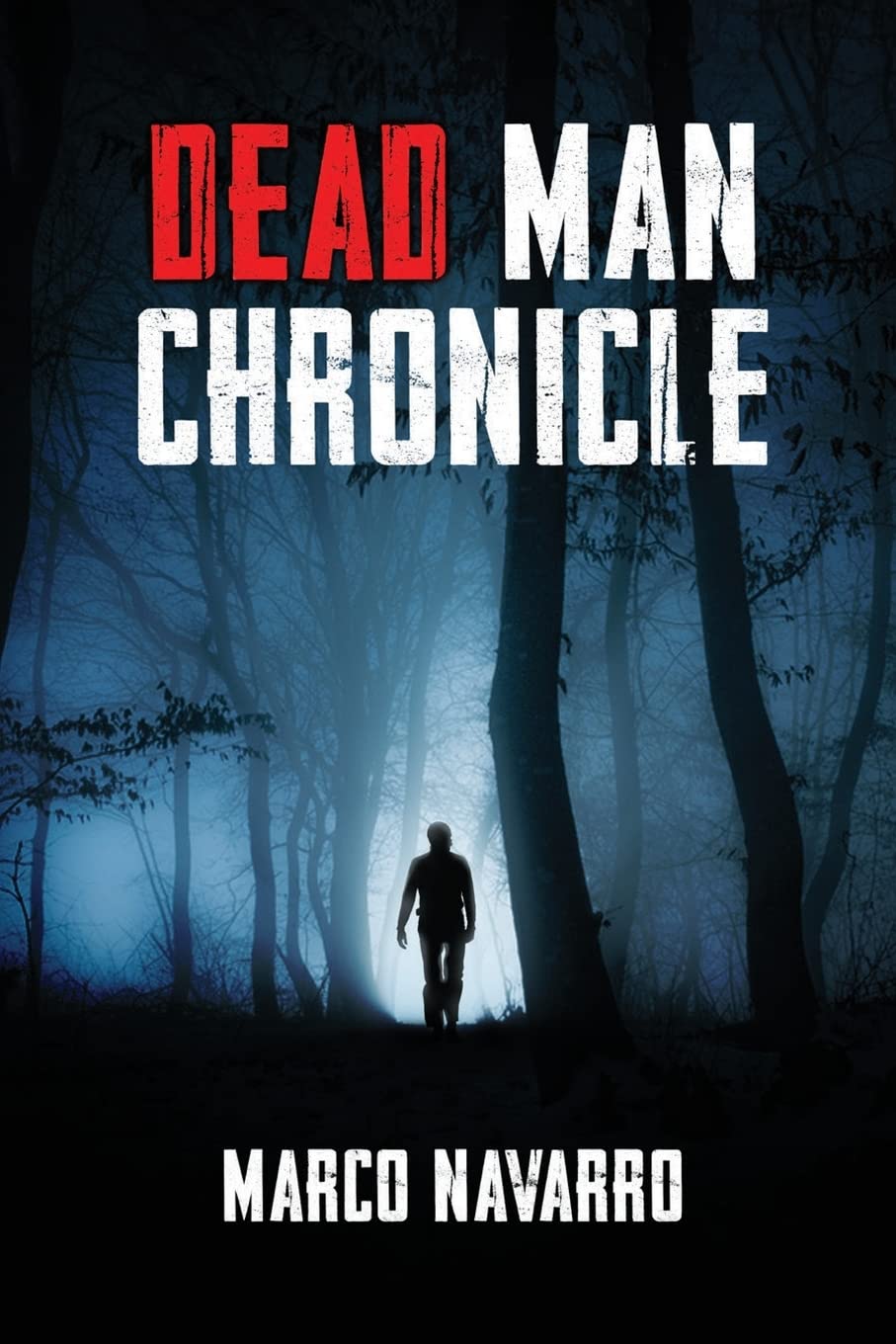 Dead Man Chronicle poster