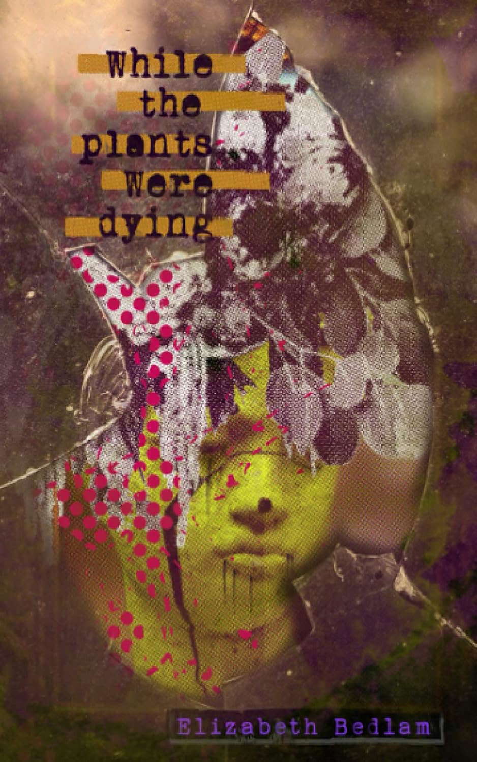 While the Plants Were Dying poster