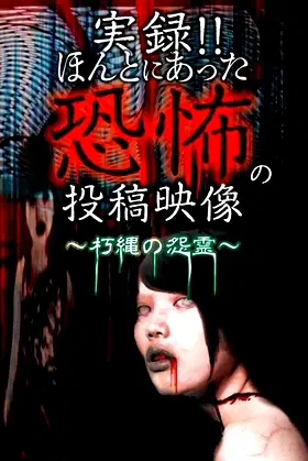 Actual Record! Real Horror Posted Video: Grudge of the Rotted Rope Phantoms poster