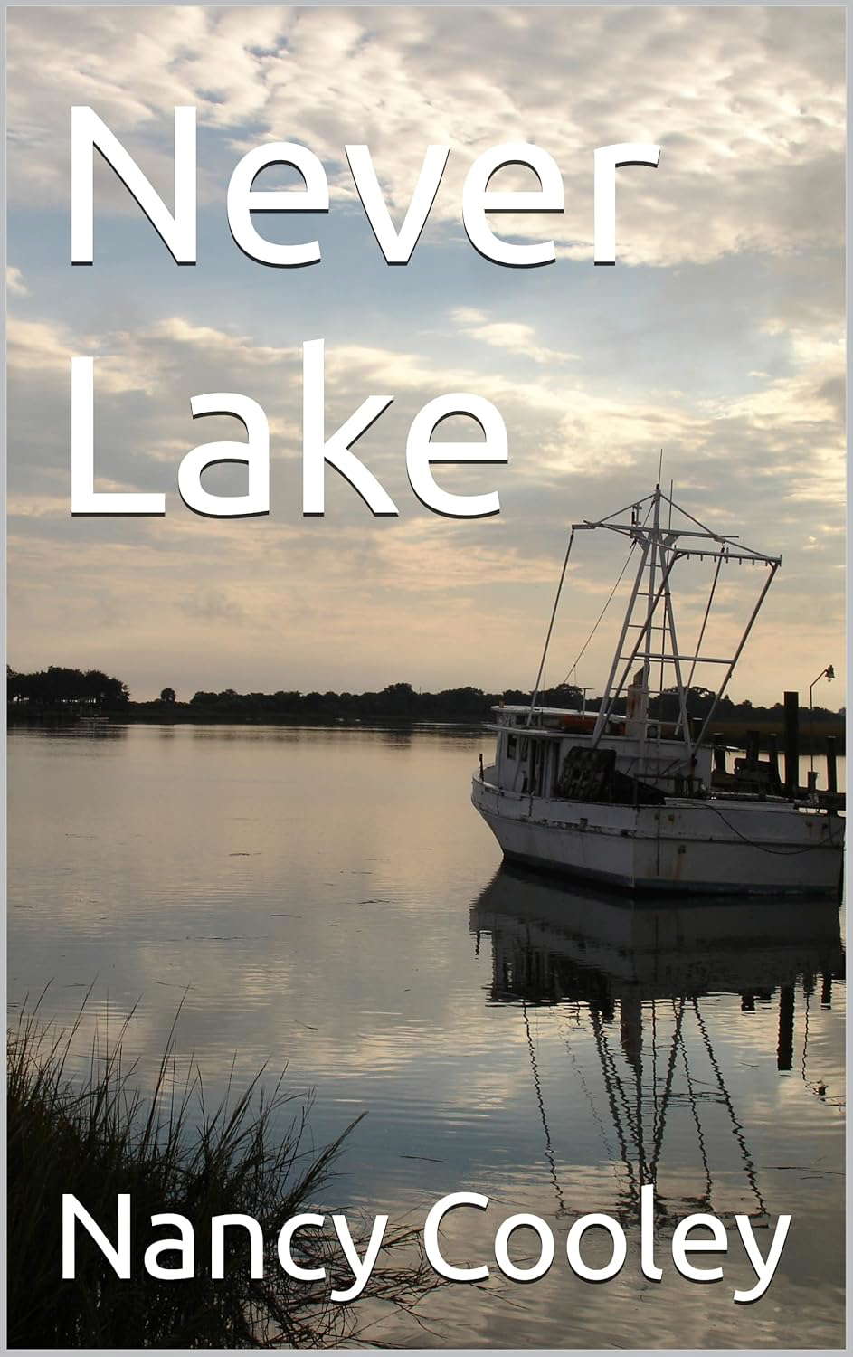 Never Lake poster