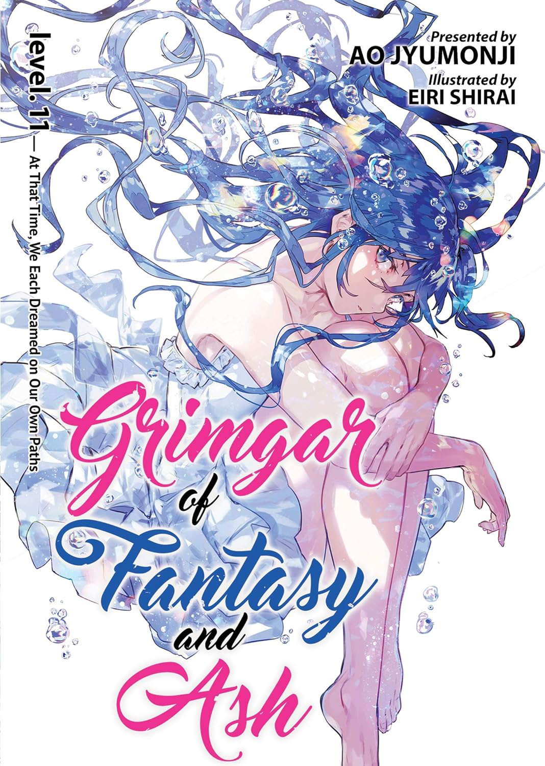Grimgar of Fantasy and Ash (Light Novel) Vol. 11 poster