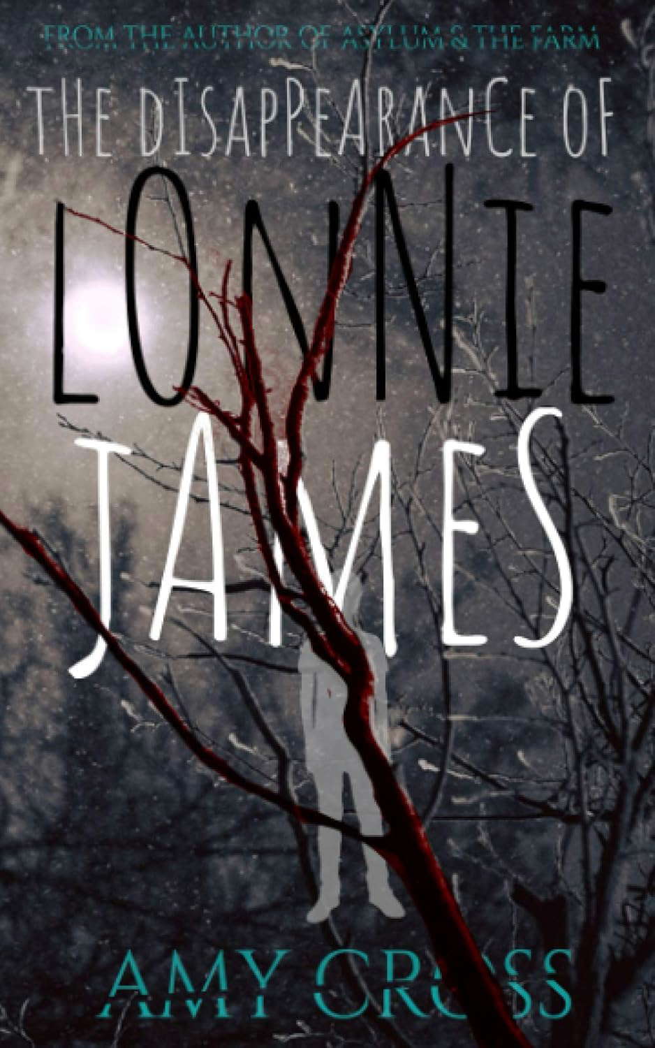 The Disappearance of Lonnie James poster