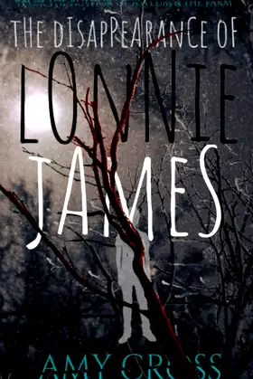 The Disappearance of Lonnie James poster