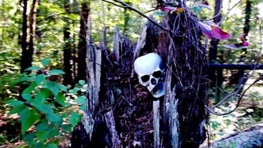 The Mountain stalker  movie 2022 trailer scariest movie on Tubitv.com poster