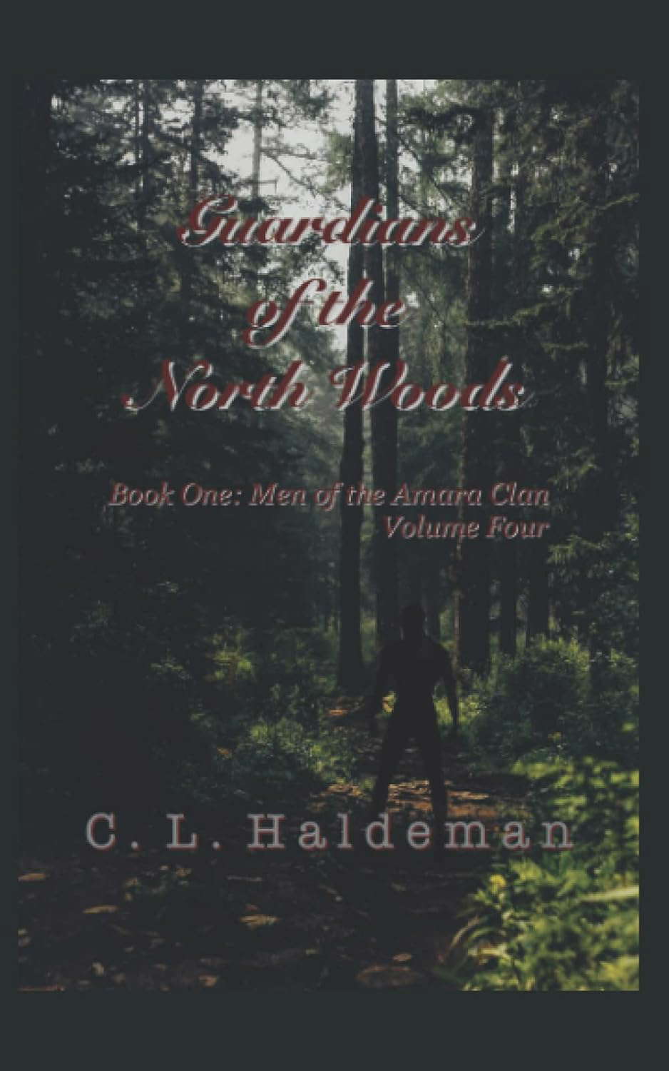 Guardians of the North Woods: Book One: Men of the Amara Clan Volume Four poster