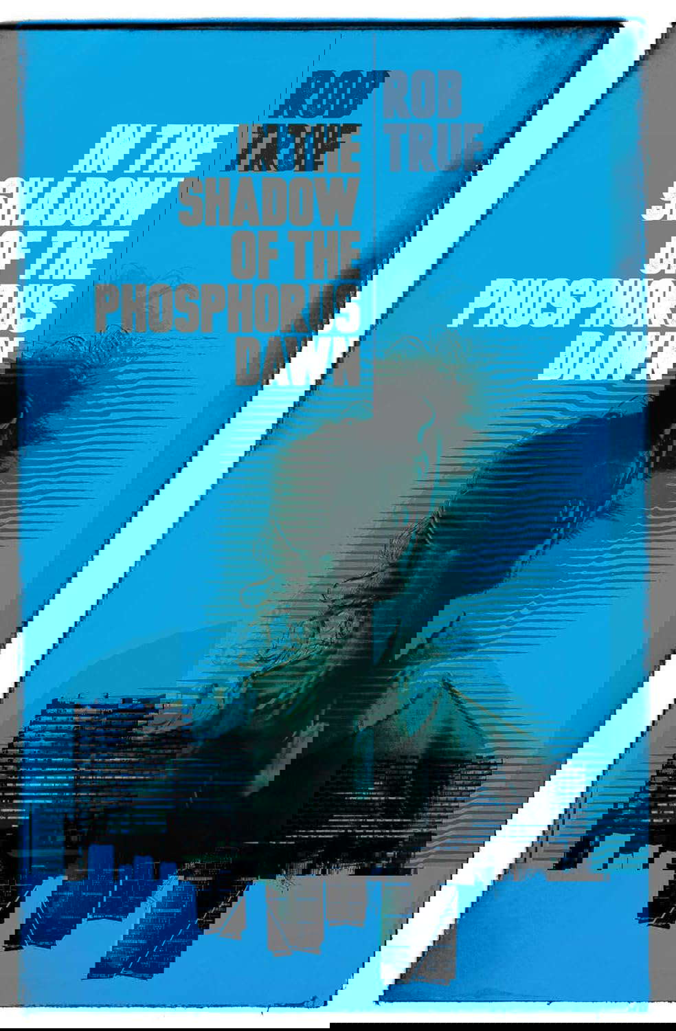 In the Shadow of the Phosphorous Dawn poster