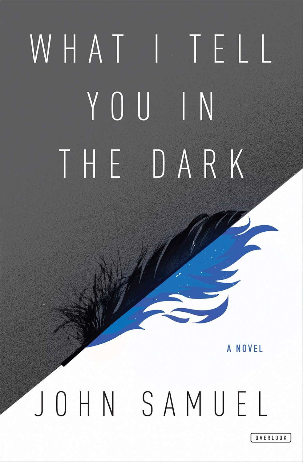 What I Tell You in the Dark: A Novel poster