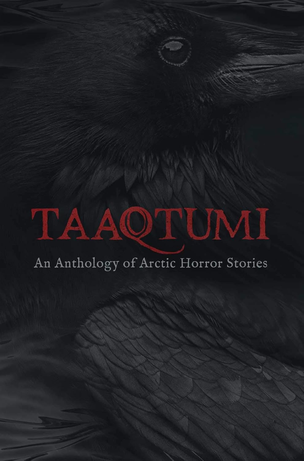 Taaqtumi: An Anthology of Arctic Horror Stories poster