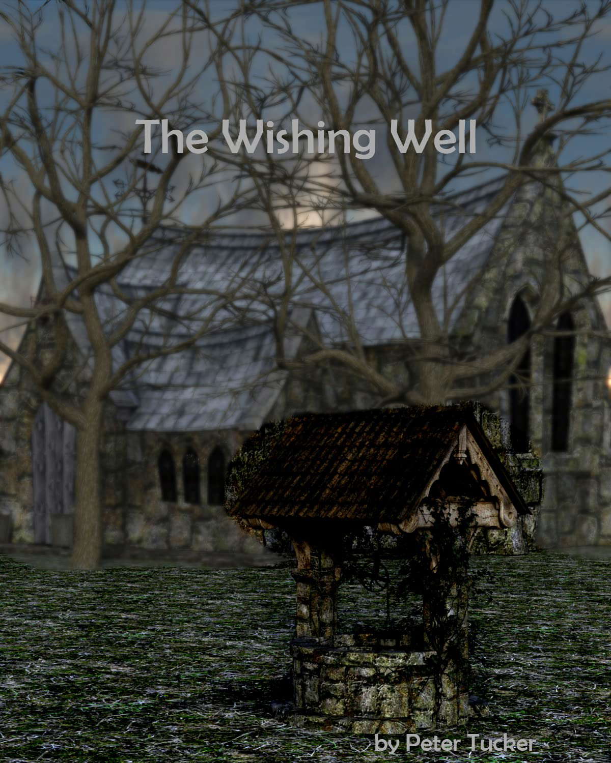 The Wishing Well poster