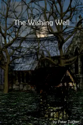 The Wishing Well poster