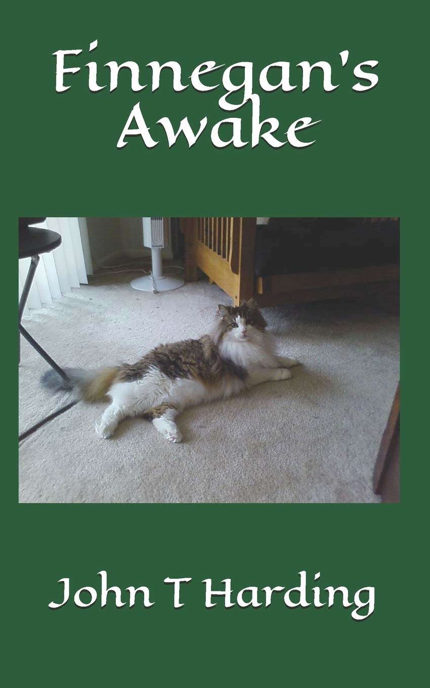 Finnegan's Awake poster