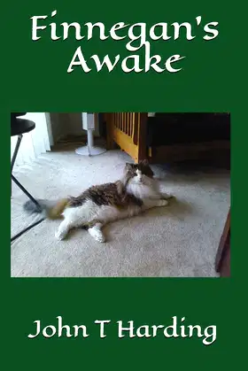 Finnegan's Awake poster