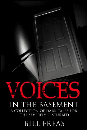 Voices in the Basement poster