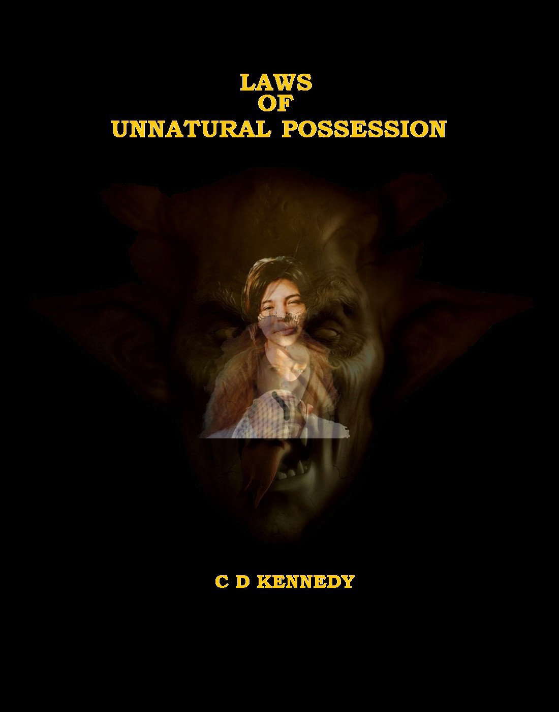 Laws of Unnatural Possession poster