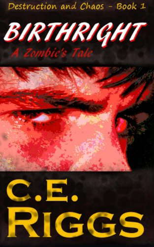 Birthright: A Zombie's Tale (Destruction and Chaos) poster