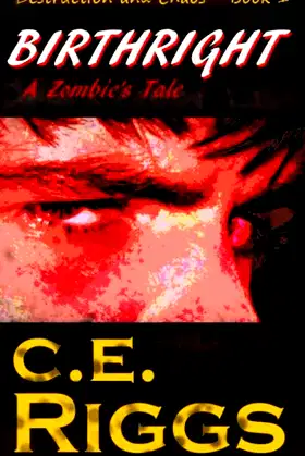 Birthright: A Zombie's Tale (Destruction and Chaos) poster