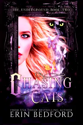 Chasing Cats (Underground) poster