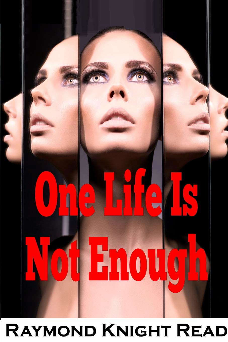 One Life Is Not Enough poster