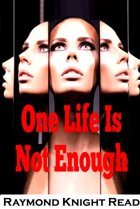 One Life Is Not Enough poster