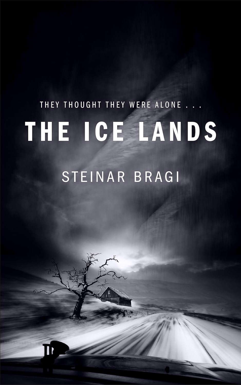 The Ice Lands poster