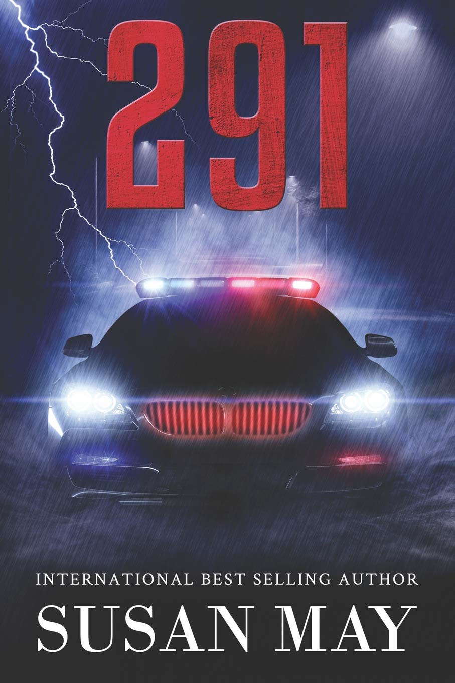 291 poster