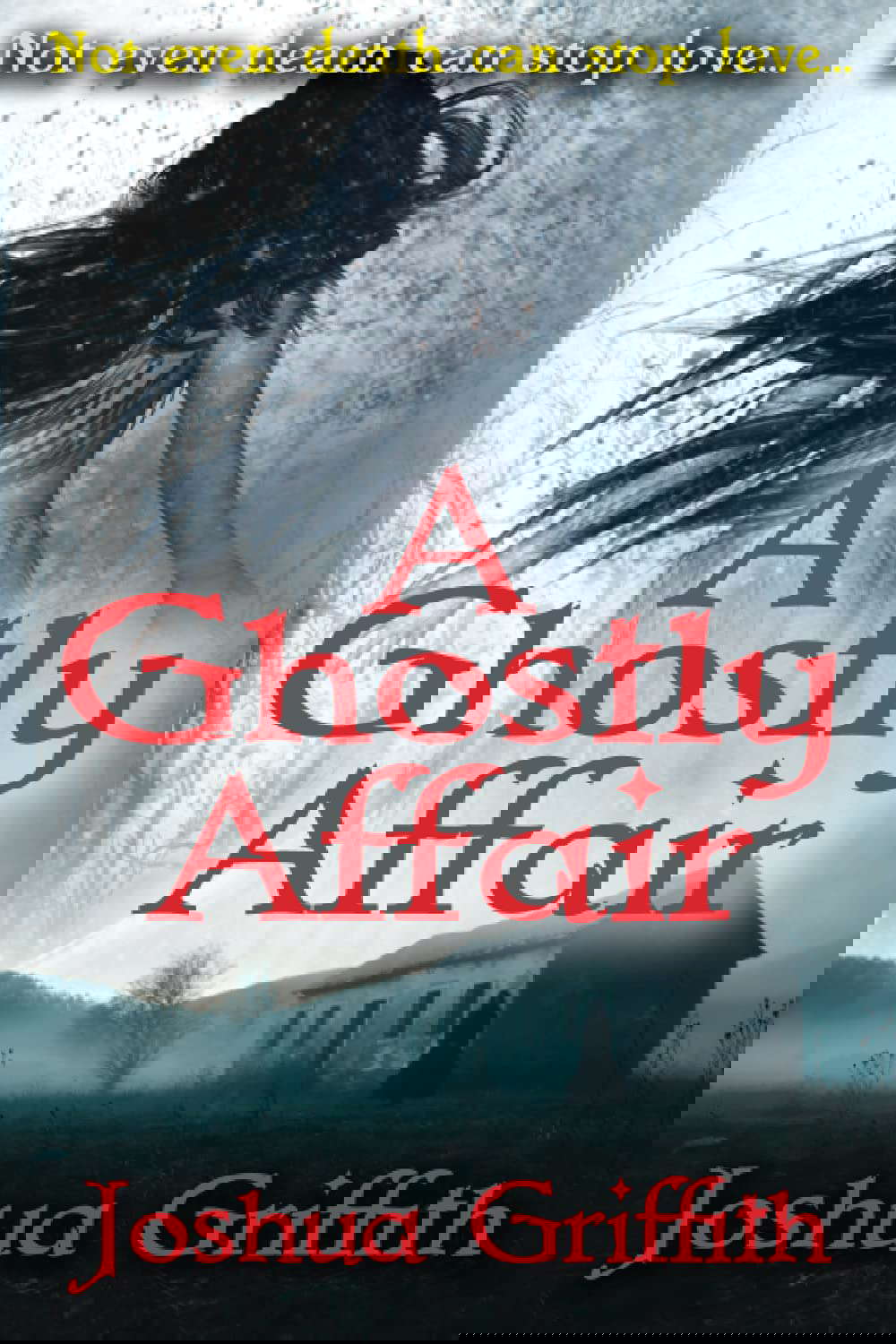 A Ghostly Affair: A paranormal romance poster
