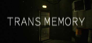TransMemory capsule