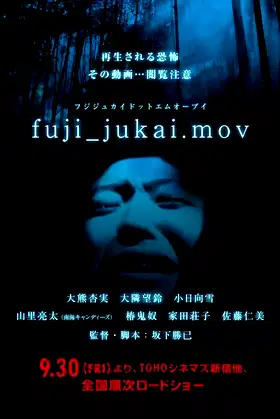 fuji_jukai.mov poster
