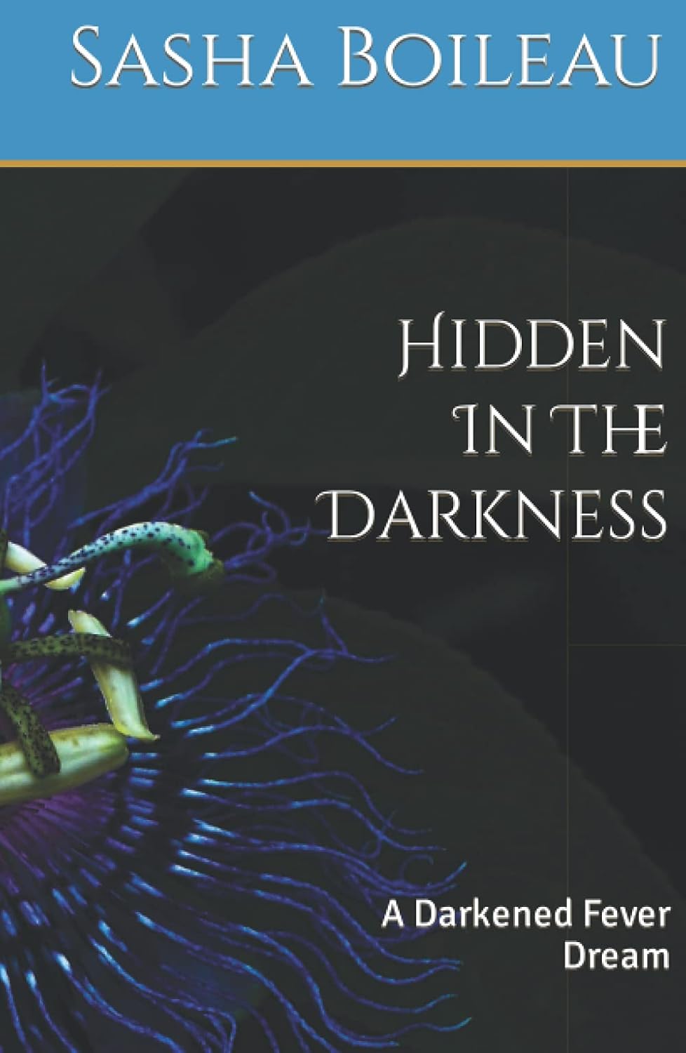 Hidden In The Darkness: A Darkened Fever Dream poster