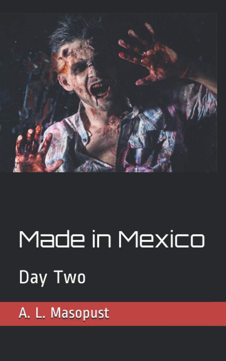 Made in Mexico: Day Two poster