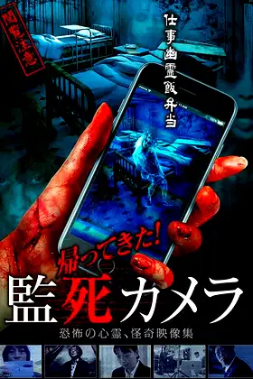Paranormal Surveillance Camera: Return ! poster