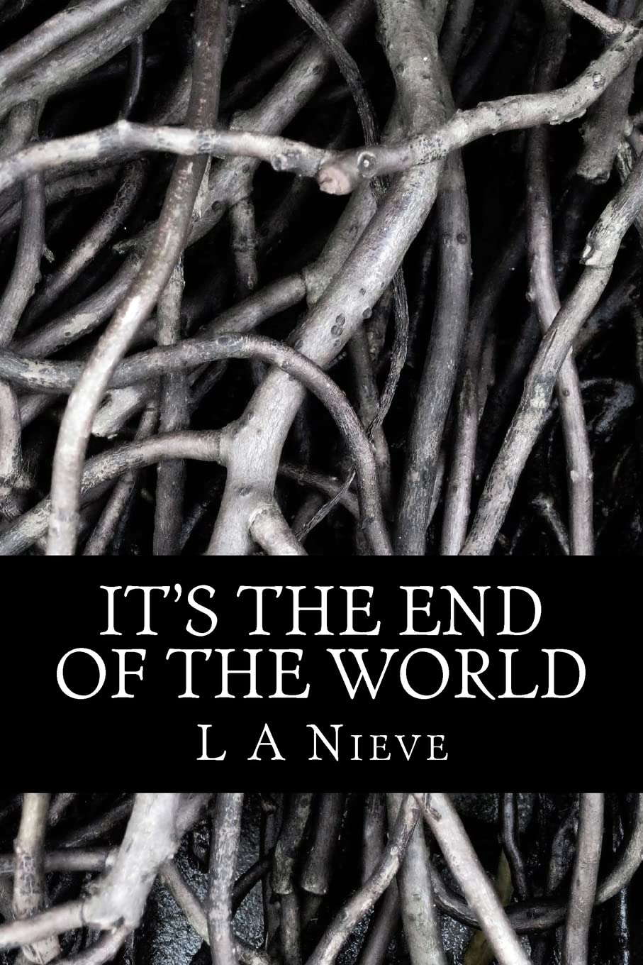 It's The End Of The World: Modern Family During The Zombie Apocalypse poster