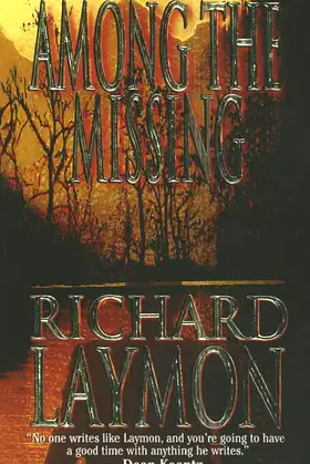 Among the Missing poster