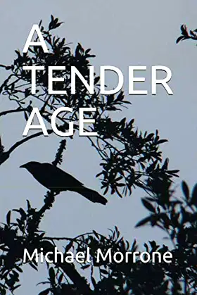 A TENDER AGE poster