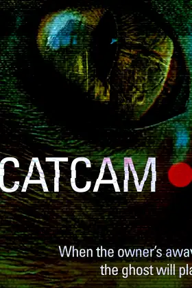 Cat Cam poster