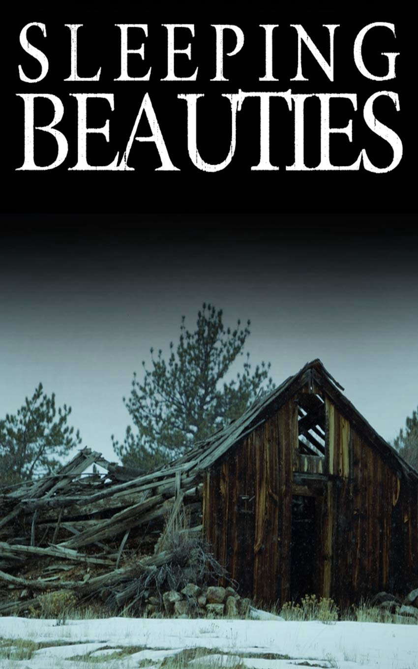 Sleeping Beauties (A Riveting Kidnapping Mystery Series) poster